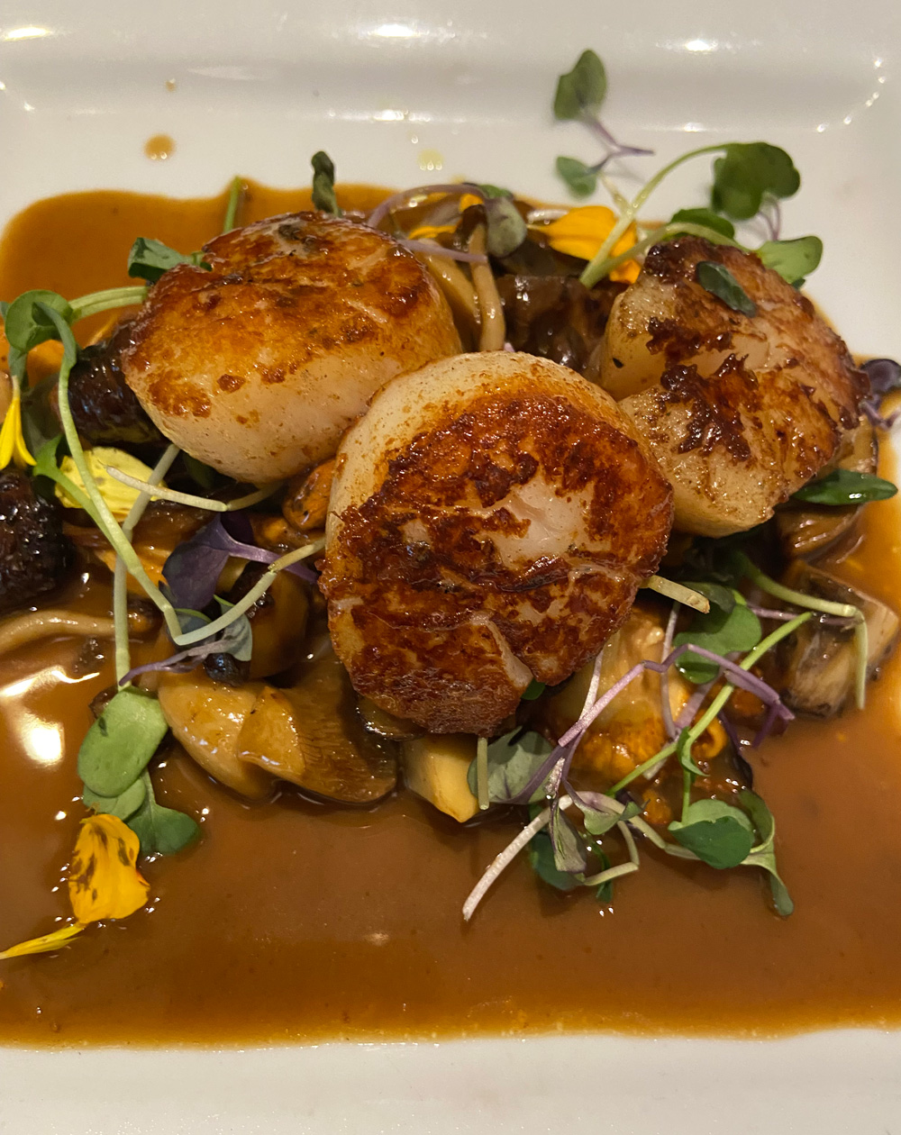 Scallops on a plate at Veloute at Palace Pier